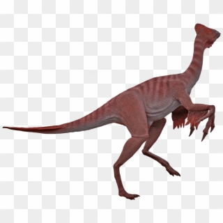 Oviraptor - Dinosaurs Png Moab Giants, Transparent Png