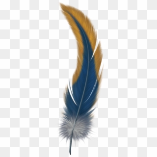 Feather Png - Bird Of Paradise Feather, Transparent Png
