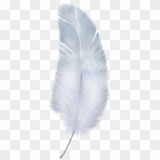 Birdy Feather Png Download - Portable Network Graphics, Transparent Png