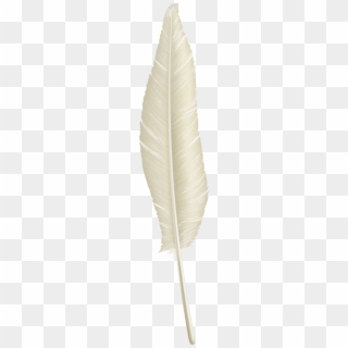 White Feather Png Download - Gown, Transparent Png