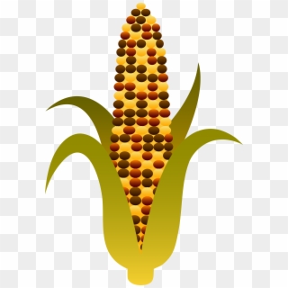 3751 X 5330 8 - Indian Corn Clip Art, HD Png Download