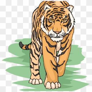 Free Tiger Clipart For Teachers - Tiger Clipart, HD Png Download