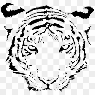 Small - White Tiger Logo Transparent, HD Png Download