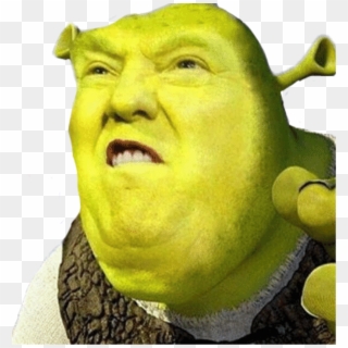 Transparent Png
