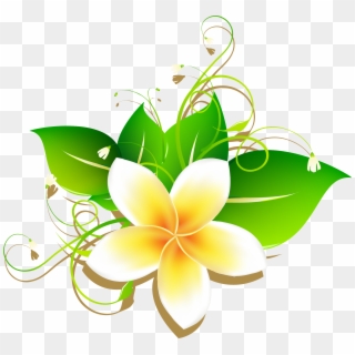 Image Result For - Frangipani Drawing, HD Png Download
