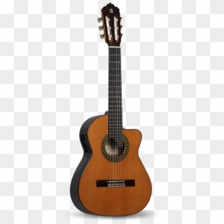 Requinto 5 P Cw - Apx600 Ovs, HD Png Download