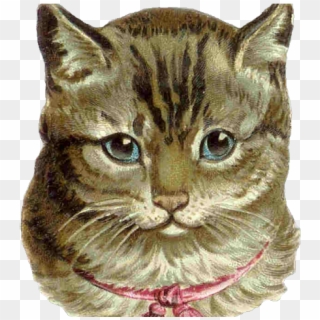 Feline Clipart Tabby Cat - Cat Vintage Png, Transparent Png