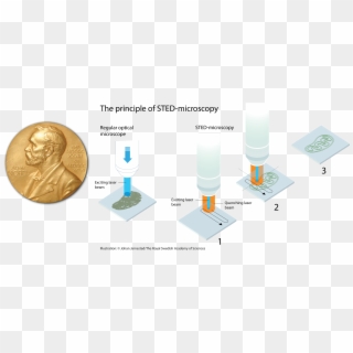 2014 Nobel Prize In Chemistry - Superresolution Nobel Prize, HD Png Download