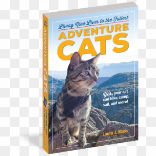Adventure Cats Book, HD Png Download