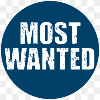 Most-wanted - Graphic Design, HD Png Download