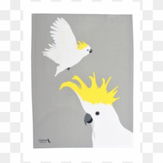 Graphic Free Download Cockatoo Birds Tea Towel Hardtofind - Accipitriformes, HD Png Download