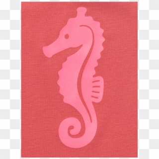 Tapete Ava Sea Horse Suit - Northern Seahorse, HD Png Download