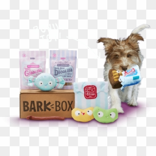 Barkbox, A Monthly Box Of Dog Goodies Starting At $22 - Yorkshire Terrier, HD Png Download