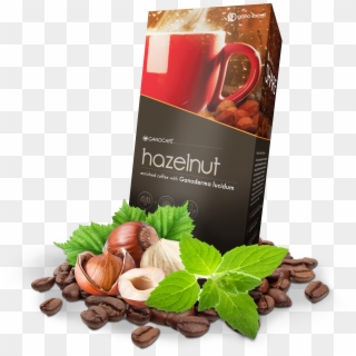 Hazelnut - Chestnut, HD Png Download