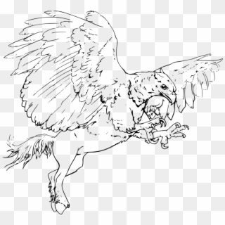 Line Art Stewie Griffin Hippogriff Rooster - Line Art, HD Png Download