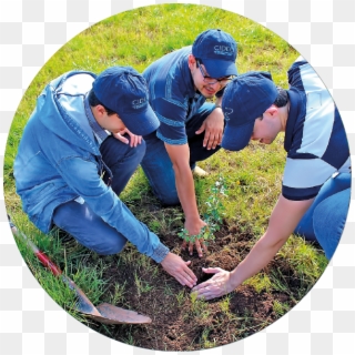 Reforestation Activities By Cidec - Plantation, HD Png Download
