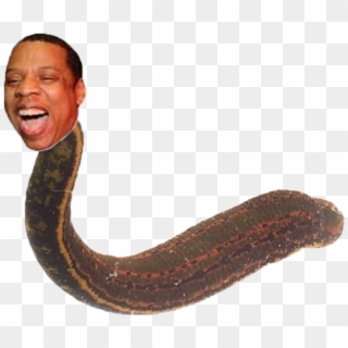 Leeches In Uk, HD Png Download