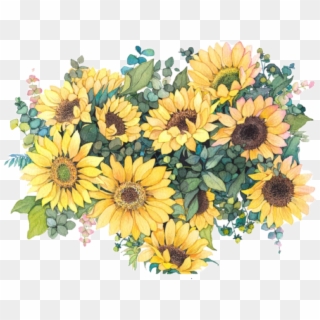 #flowers #sunflowers🌻💛🌻 #sunflowers #aesthetictumblr - Watercolor Sunflowers Png, Transparent Png