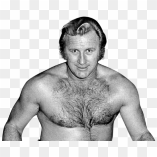 Wwe - Nick Bockwinkel, HD Png Download