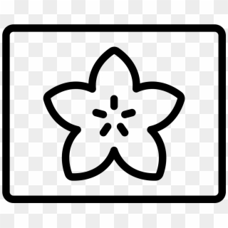 The Large Icon Has A Flower Like Shape With Five Rounded - Błotniki Rowerowe Tylni Plastikowy, HD Png Download