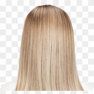 Transparent Hair Color - Back Of Blonde Hair, HD Png Download