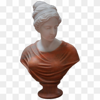 Busts - Bust, HD Png Download