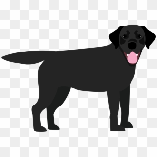 Black Labrador - Dog Catches Something, HD Png Download