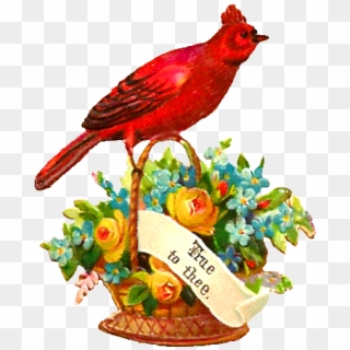 Free Bird Red Robin Perched On Yellow Rose And Flower - Flower Red With Bird, HD Png Download