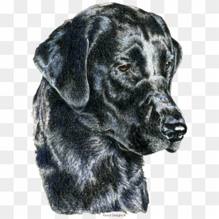 Click And Drag To Re-position The Image, If Desired - Labrador Retriever, HD Png Download