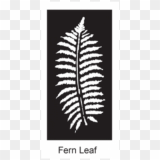 1 X Fern Leaf Indoor Outdoor Decorative/privacy Compressed - Ostrich Fern, HD Png Download