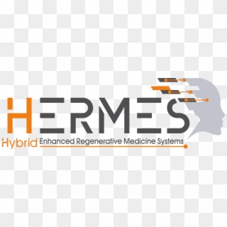Hermes Project, Our Involvement In Regenerative Medicine - Glas Ceyssens, HD Png Download