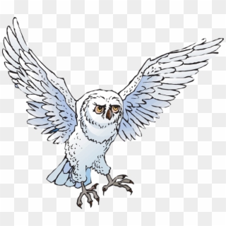 Owl Clip Art Snow Owl - Snowy Owl Clipart Png, Transparent Png