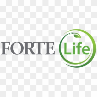Forte Life Insurance - Forte Insurance, HD Png Download