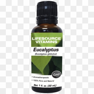 Eucalyptus Oil 1 Fl Oz - Saw Palmetto, HD Png Download