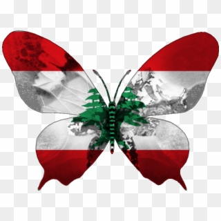 Armenia Flag Butterfly Png, Transparent Png