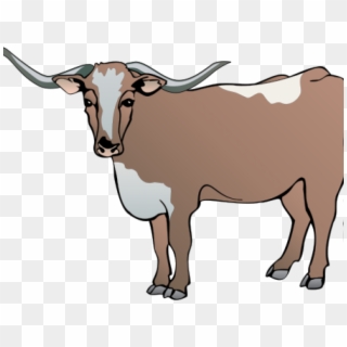 Taurus Clipart Bull Horn - Transparent Longhorn, HD Png Download