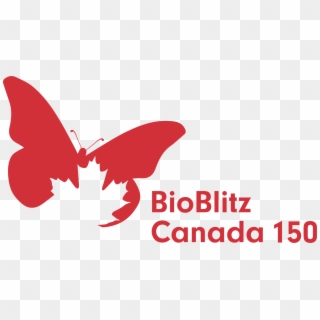 Format, Format - Bioblitz Canada 150, HD Png Download