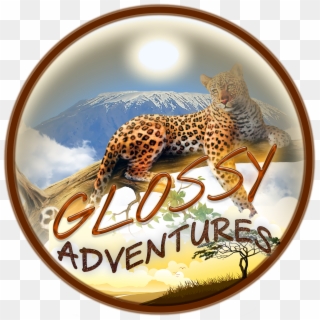 Cropped Glossy Adventures Logo 1 - African Leopard, HD Png Download