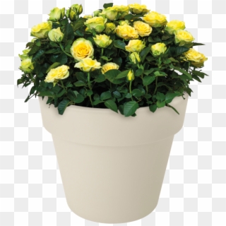 Home > Collection > Green Basics Top Planter - Flowerpot, HD Png Download