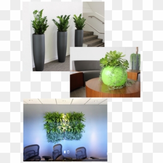 Cropped Contemporary Plant Collage - Chair, HD Png Download