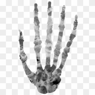 Skeleton Hand Png - Hand Skeleton Png, Transparent Png