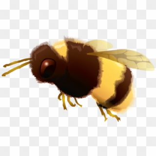 Bumble Bee Png, Transparent Png