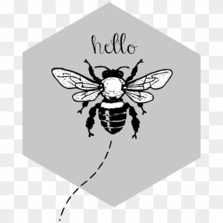 My Interest In Learning More About Something I Fear - Honey Bee Black And White, HD Png Download