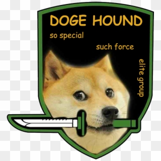 Doge Hound So Specia Such Force - Doge Hound, HD Png Download