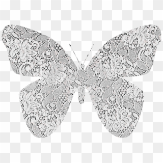 Scrappin With Lace Transparent Background - Lace Butterfly Transparent, HD Png Download