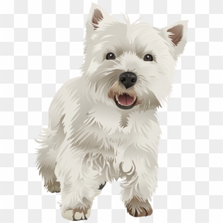 West Highland White Terrier Vector Png, Transparent Png