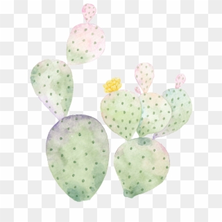 Hand Painted Cactus Png Transparent - Cactus Y Plantas Png, Png Download