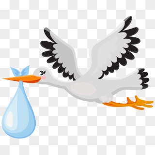Transparent Png