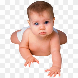 Baby - Baby With No Background, HD Png Download