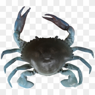 Blue Crab Png 414434 - Savage Gear Crab, Transparent Png